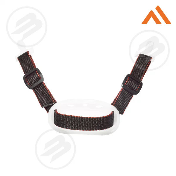 Jugulaire 2 points PORTWEST (10)